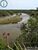 Fazenda, 689 hectares - Foto 3