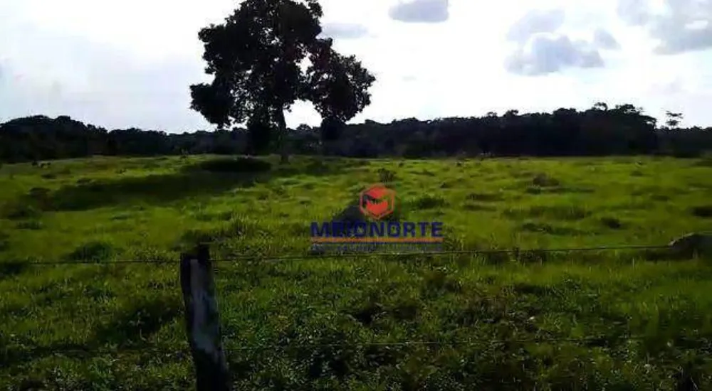 Fazenda, 2212 hectares - Foto 15