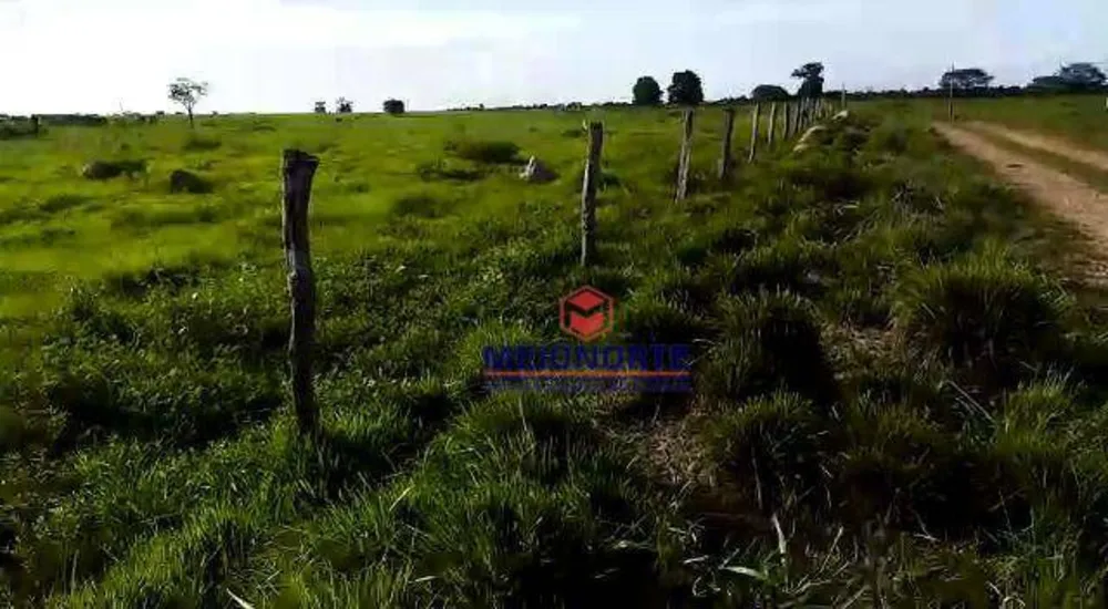 Fazenda, 2212 hectares - Foto 9