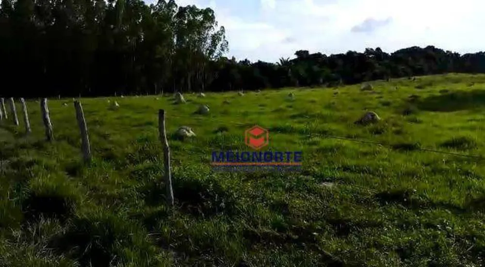 Fazenda, 2212 hectares - Foto 11
