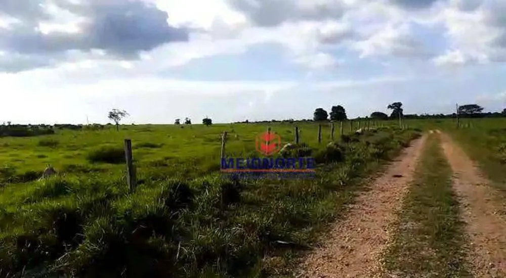 Fazenda, 2212 hectares - Foto 13