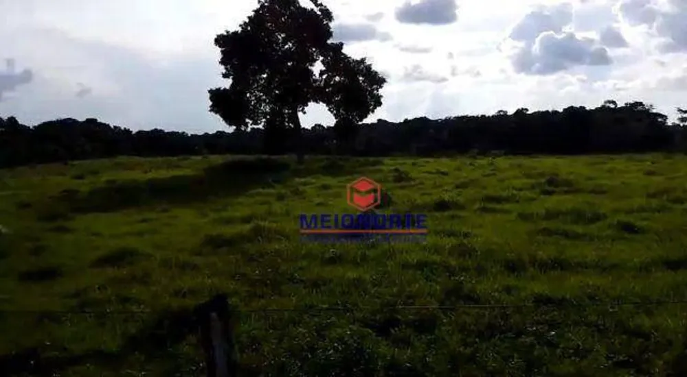 Fazenda, 2212 hectares - Foto 10