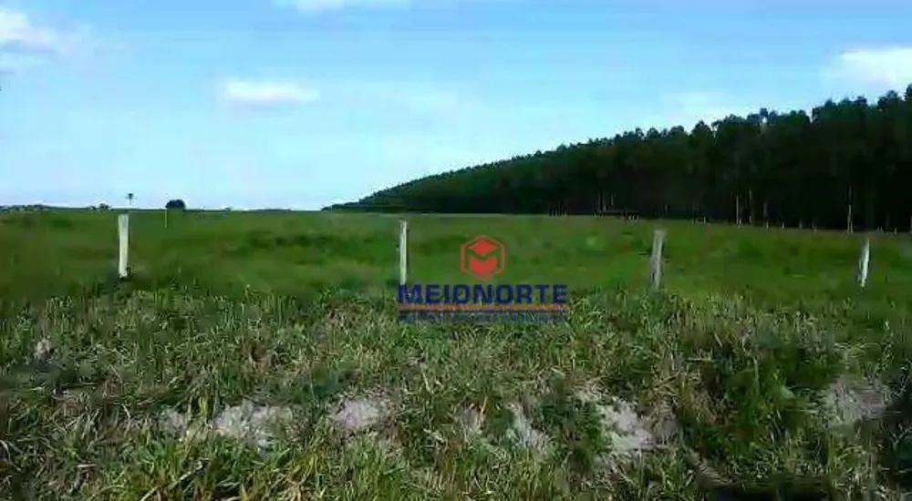 Fazenda, 2212 hectares - Foto 12