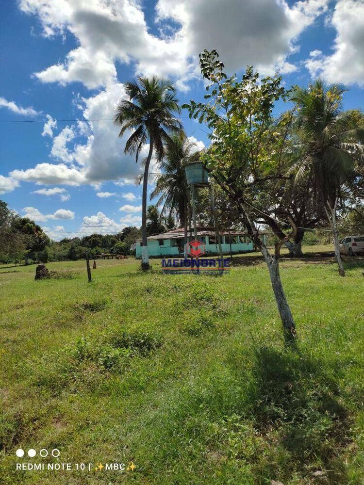 Fazenda, 1384 hectares - Foto 1