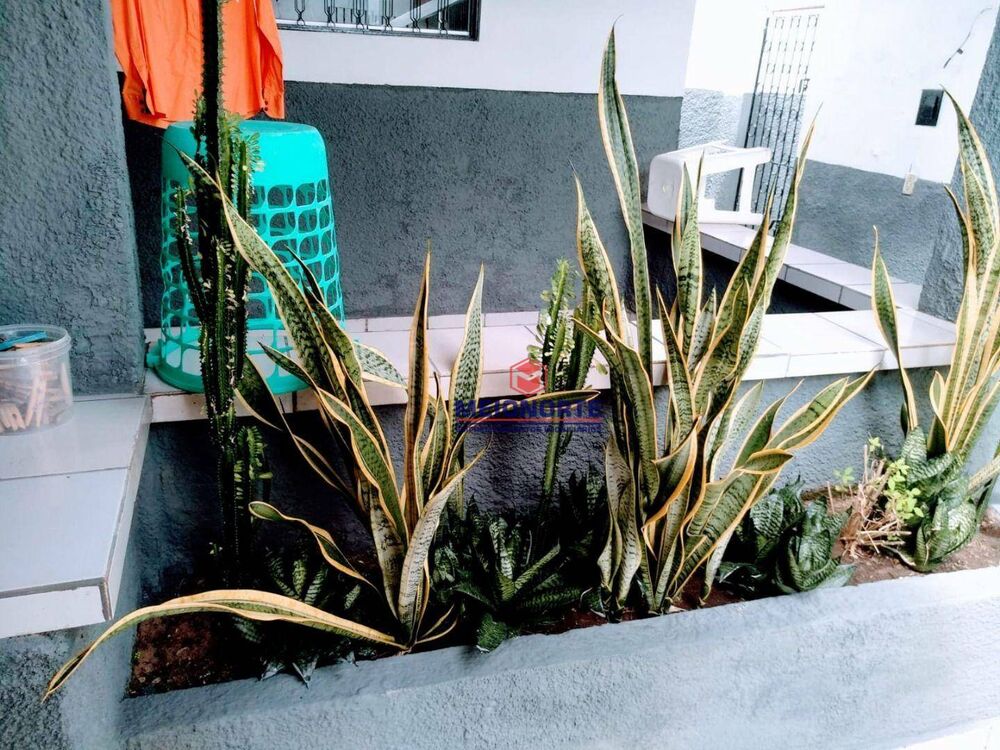 Casa, 3 quartos, 290 m² - Foto 3