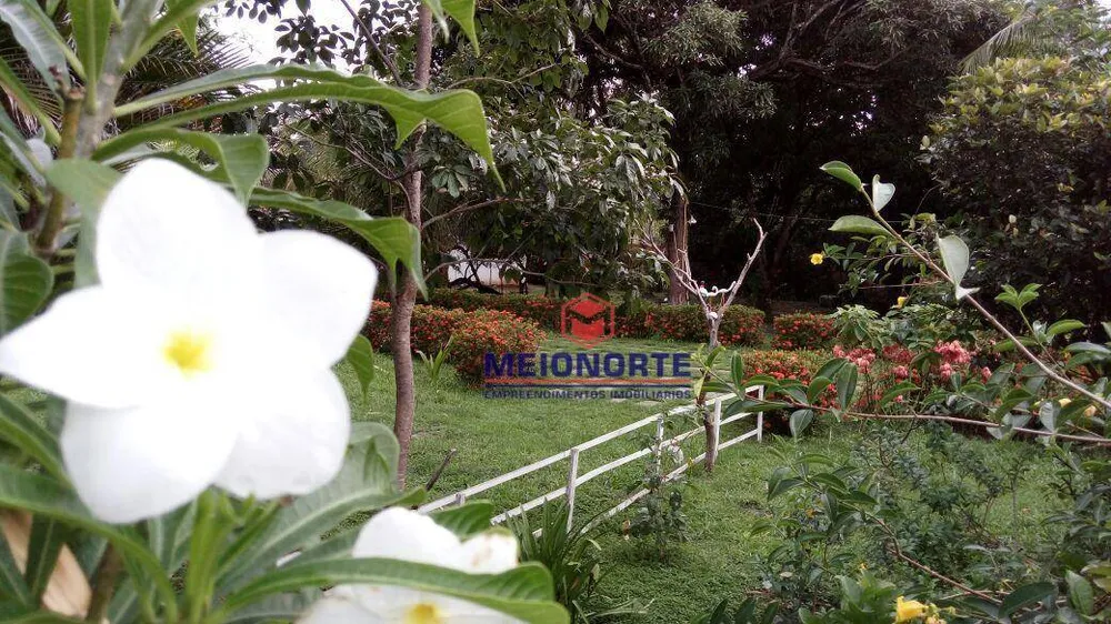 Sítio, 3 hectares - Foto 9