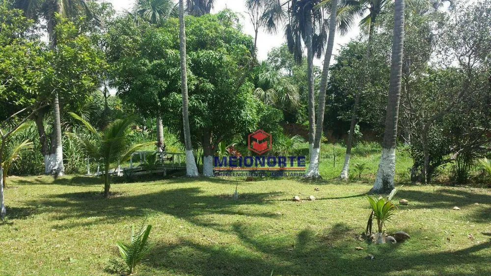 Sítio, 3 hectares - Foto 10