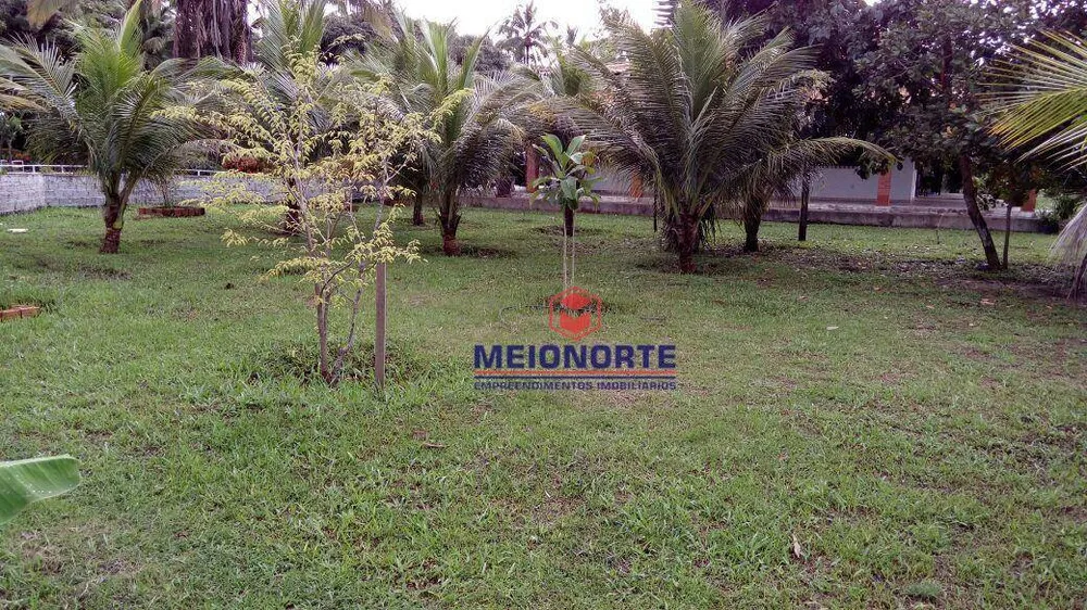 Sítio, 3 hectares - Foto 7