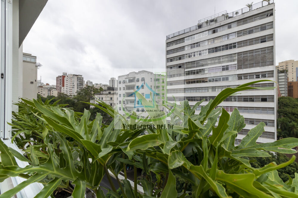 Apartamento, 3 quartos, 239 m² - Foto 6