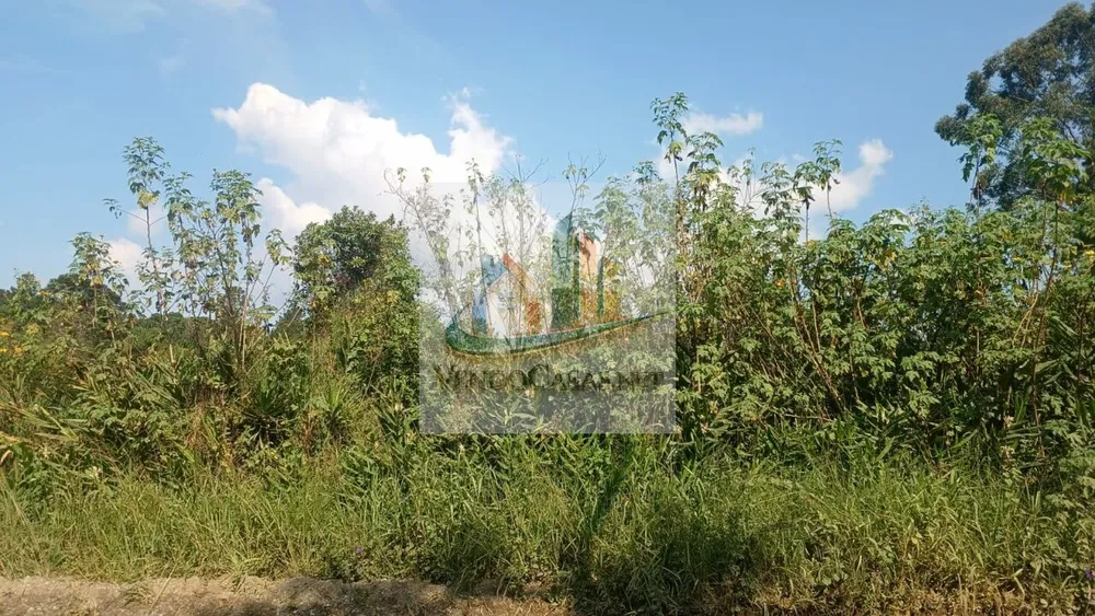 Loteamento e Condomínio, 1 hectares - Foto 10