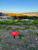 Terreno, 175 m² - Foto 2