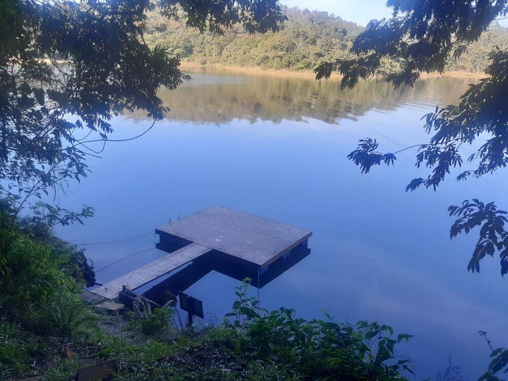 Chácara à venda com 4 quartos, 4500m² - Foto 3