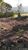 Terreno, 3020 m² - Foto 5