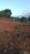 Terreno, 3020 m² - Foto 2