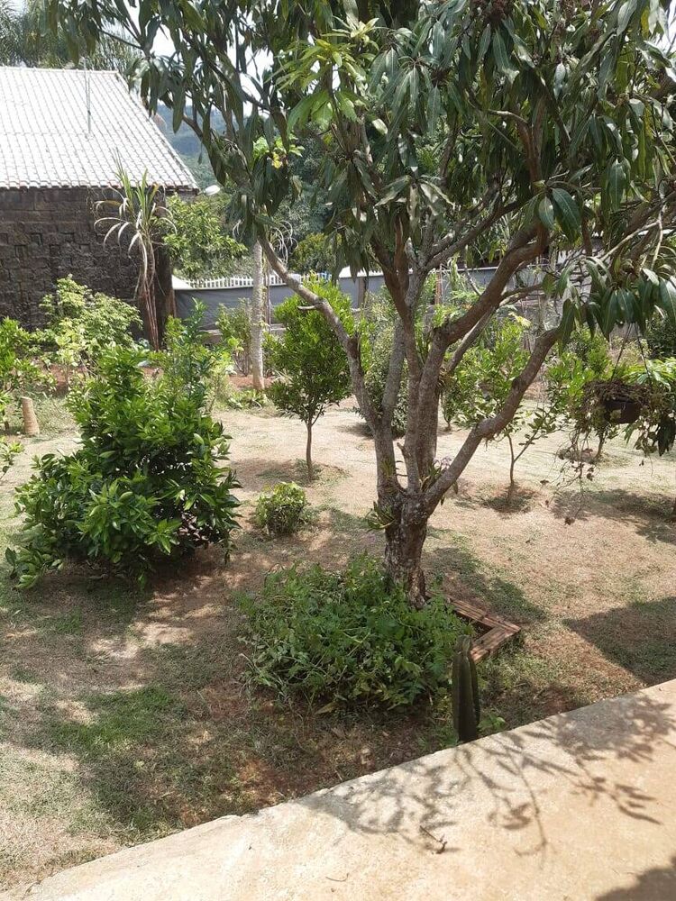Chácara à venda com 2 quartos, 2600m² - Foto 11