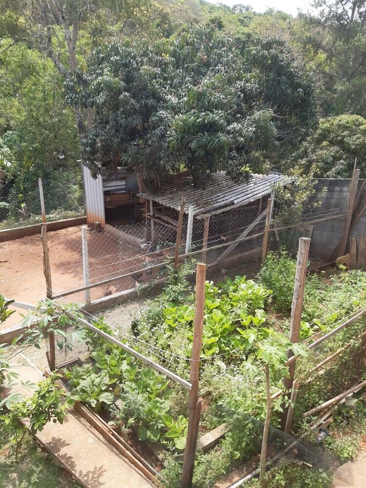 Chácara à venda com 2 quartos, 2600m² - Foto 10