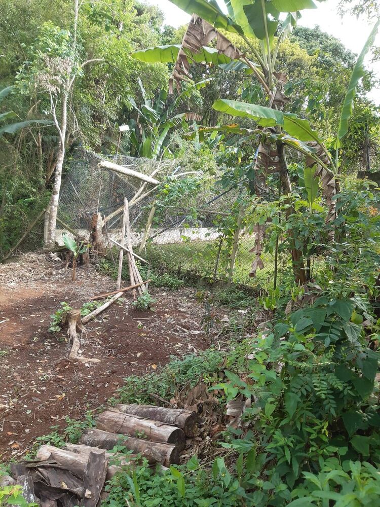 Chácara à venda com 2 quartos, 2600m² - Foto 12
