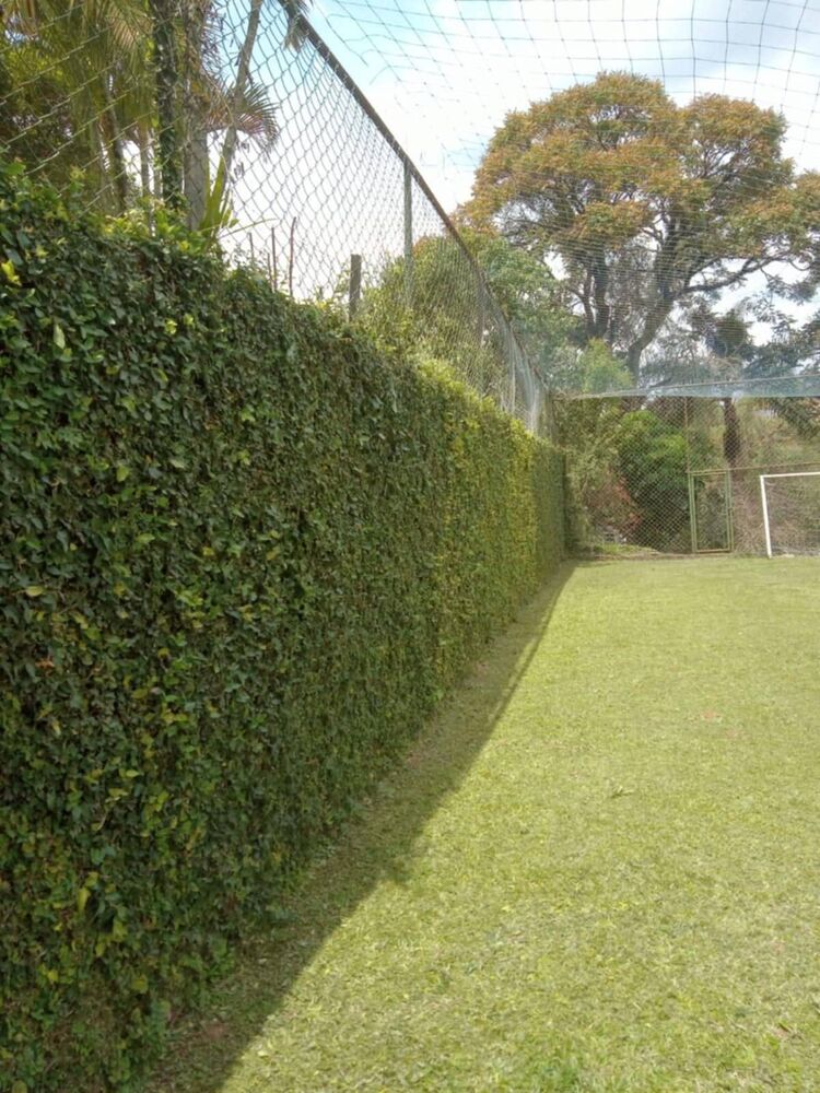 Casa à venda com 4 quartos, 2000m² - Foto 17