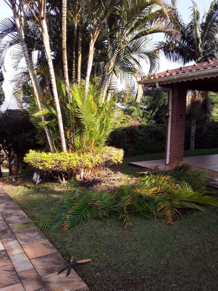 Casa à venda com 4 quartos, 2000m² - Foto 8