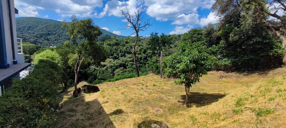 Terreno à venda, 1300m² - Foto 11