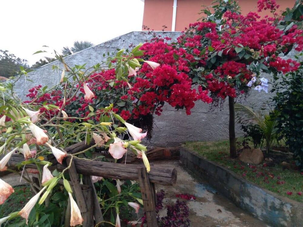 Fazenda à venda com 2 quartos, 60m² - Foto 9