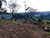 Terreno, 500 m² - Foto 6