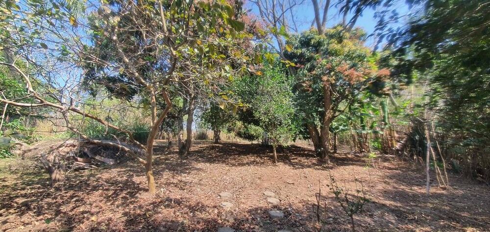 Chácara à venda com 4 quartos, 263m² - Foto 2