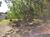 Terreno, 760 m² - Foto 5
