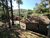 Terreno, 2 hectares - Foto 1