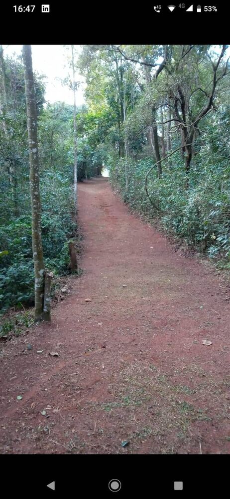 Sítio à venda com 3 quartos, 46000m² - Foto 13
