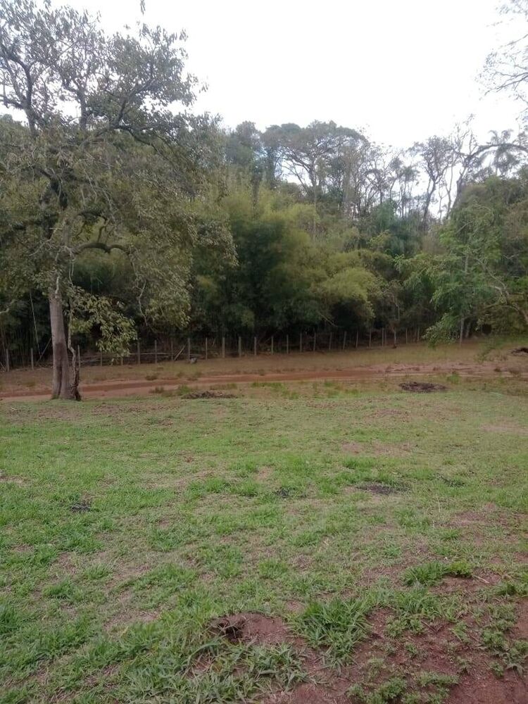 Sítio à venda com 3 quartos, 46000m² - Foto 17