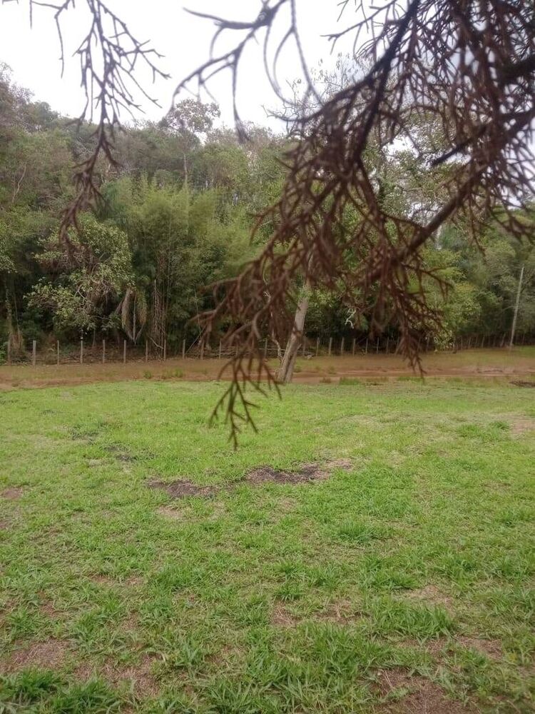 Sítio à venda com 3 quartos, 46000m² - Foto 18