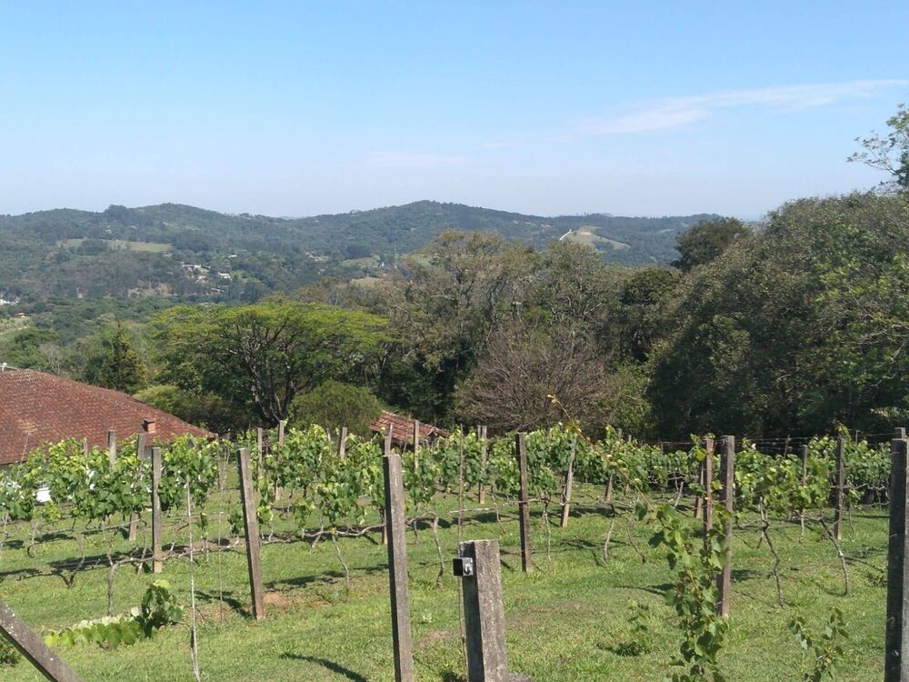 Sítio à venda com 3 quartos, 46000m² - Foto 14