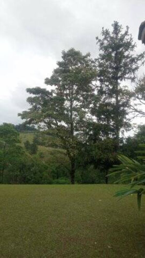 Sítio à venda com 3 quartos, 46000m² - Foto 15
