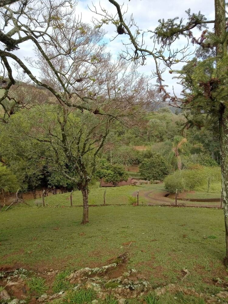 Sítio à venda com 3 quartos, 46000m² - Foto 16