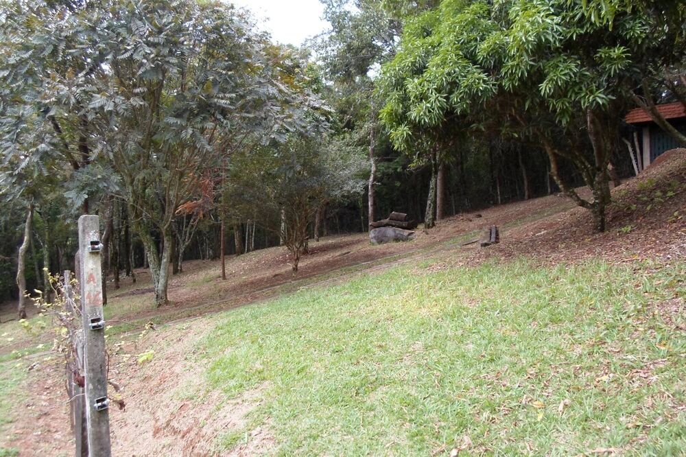 Sítio à venda com 3 quartos, 46000m² - Foto 10