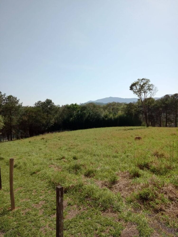 Sítio à venda com 3 quartos, 46000m² - Foto 12
