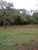 Sítio, 3 quartos, 5 hectares - Foto 17