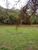 Sítio, 3 quartos, 5 hectares - Foto 18