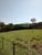 Sítio, 3 quartos, 5 hectares - Foto 12