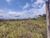 Terreno, 1590 m² - Foto 4