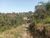 Terreno, 5000 m² - Foto 5