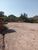 Terreno, 5000 m² - Foto 1