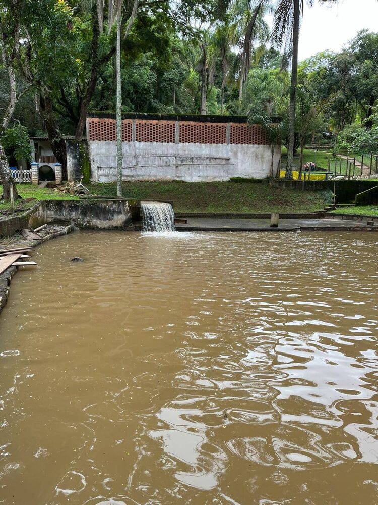 Casa à venda com 4 quartos, 3000m² - Foto 8