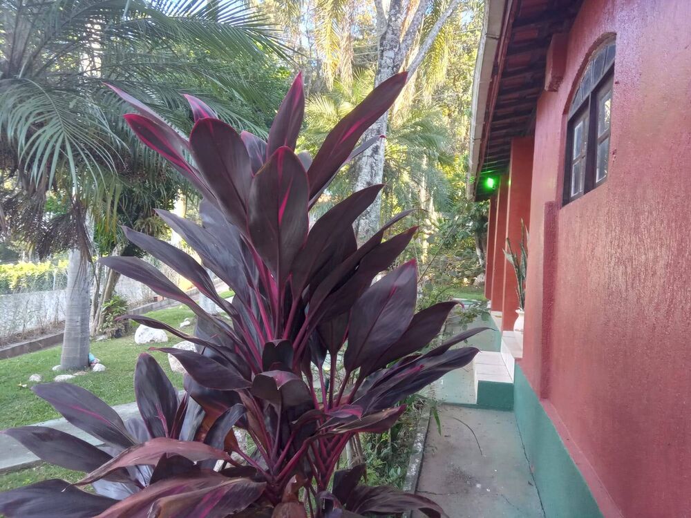 Chácara à venda com 6 quartos, 1600m² - Foto 10