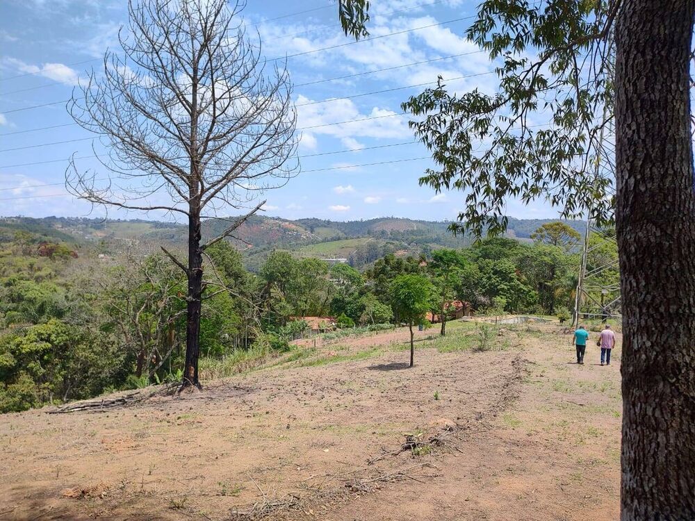 Sítio à venda com 3 quartos, 500m² - Foto 7