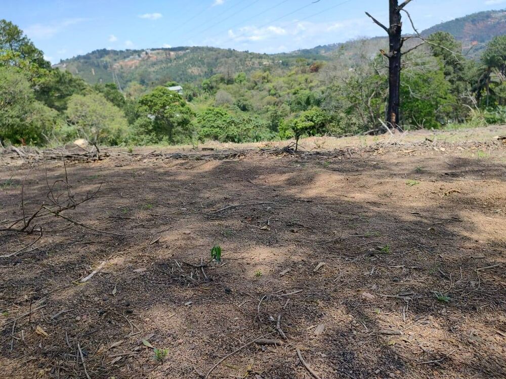 Sítio à venda com 3 quartos, 500m² - Foto 6