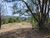 Sítio, 3 quartos, 2 hectares - Foto 4