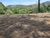 Sítio, 3 quartos, 2 hectares - Foto 6