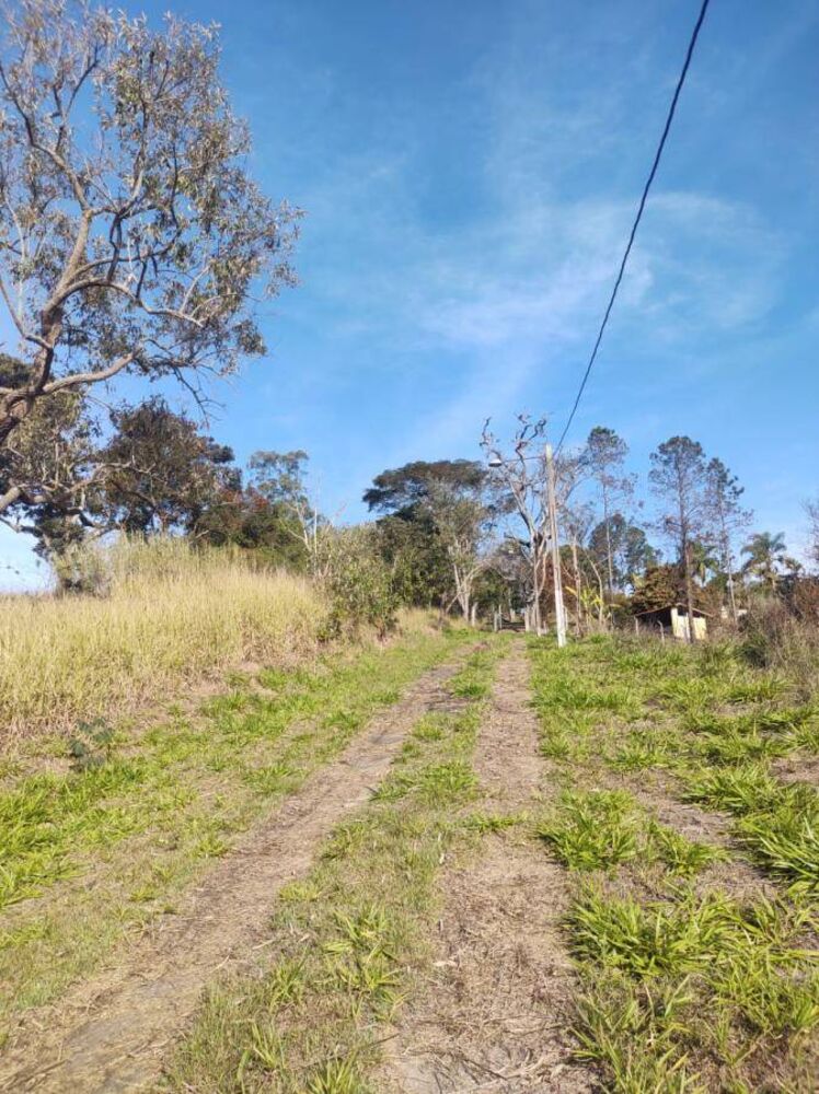 Chácara à venda com 4 quartos, 350m² - Foto 19